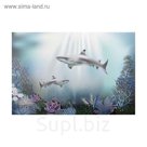 Фон для аквариумов "Акулы" 60*40см односторонний
