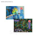 Альбом для рисования BRAUBERG "Райские птички", А4, 40 листов на гребне, 110 г/м2