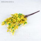 Букет "Пятилистник" 55 см