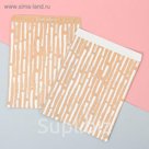 Пакетик подарочный «Сюрприз», 20 × 24 см