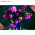 Алмазная вышивка с полным заполнением "Пионы", 22 х 32 см