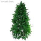 Елка сибирская 1,2 м, d нижнего яруса 95 см, 597 ветки