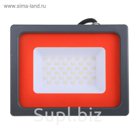 Прожектор светодиодный Jazzway, 50 Вт, 6500 K, IP65, PFL-SC