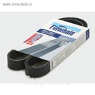 Ремень поликлиновой FINWHALE BP5PK870