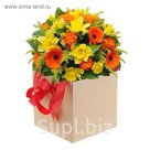 Коробка-ваза для цветов с пластиковой вставкой, 22 х 22 х 22 см