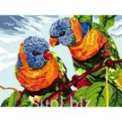 Живопись по номерам, Красочные попугаи, 30х40 см
