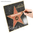 Диплом Голливудская звезда "Лучший руководитель"