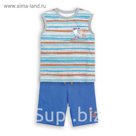 Комплект (футболка+шорты) для мальчика, рост 140 см, цвет голубой BFAVH4021