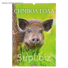 Календарь перекидной, ригель и пружина "Символ года - 3" 2019 год, 34х49см