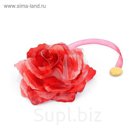 Подхват для штор на ленте "Пион", цвета МИКС