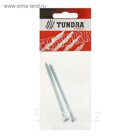 Болт сантехнический DIN 571 TUNDRA krep, 6х80 мм, цинк,в пакете 2 шт.