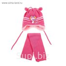 Комплект детский зимний "Мышка": шапка, шарф, объем головы 42-44см (3-6мес.), цвет микс