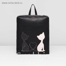 Рюкзак молодёжный на молнии, 1 отдел, цвет чёрный