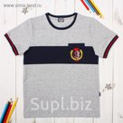 Футболка для мальчика "Формула", рост 134 см (68), цвет серый, принт герб ПДК968805