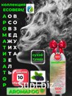Освежитель воздуха AROMAFOG. Сухой туман. Ежевика (500мл)