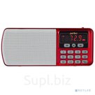 Perfeo радиоприемник цифровой ЕГЕРЬ FM+ 70-108МГц MP3 питание USB или BL5C красный i120-RED PF 5026