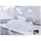 Холст на картоне с контуром Сонет "Котята", 30*40см