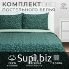 Постельное бельё 2-спальное «Этель» Small leaves, поплин
