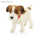 Мягкая игрушка «Джек Рассел терьер», 31 см