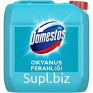 Domestos 3240 ml Голубой