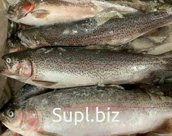 Продажа Морепродуктов, Форель