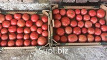 Помидоры Огурцы Краснодарские