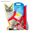 Шлейка Nobby для кошек, красная