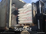 Baking Wheat Flour for Export