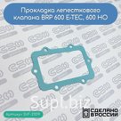 Прокладка лепесткового клапана BRP 600 E-TEC, 600 HO