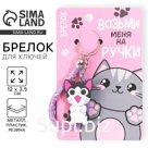 Брелок для ключей «Возьми меня на ручки», 12×3.5 см