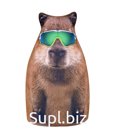 Anti-stress toy Capybara in glasses 30cm Item: MT30016
