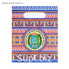 Пакет подарочный «ХМАО. Орнаментальный»