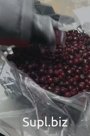 Вишня замороженная Иран