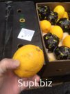 свежие лимоны из Китая