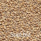 Пшеничный солод производится из отборной яровой пшеницы. Используется в качестве базового типа солода, подходит для варки не крепких сортов пива. Пшеничный сол…