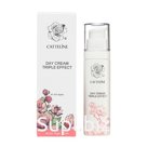 Дневной крем – тройной эффект (Day Cream – Triple Effect)