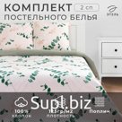 Постельное бельё 2-спальное «Этель. Эвкалипт (вид 1)», поплин