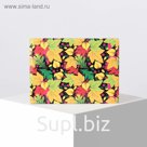 Обложка для зачётной книжки, цвет разноцветный