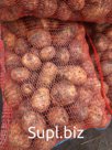 Картофель сорт Гала калибр 5+