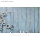 Фотофон винил "Голубые доски с веткой яблони" 80х125 см