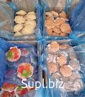 Гребешок по-шанхайски с креветкой