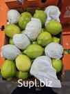 Лимоны сорт Эврика из ЮАР