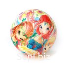 МЯЧ ПВХ &amp;quot;ИГРАЕМ ВМЕСТЕ&amp;quot; WINX. ПОЛНОЦВЕТ РАЗМЕР 23СМ В СЕТКЕ