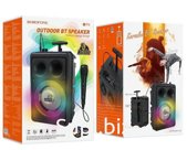 Беспроводная колонка с микрофоном BOROFONE BP9