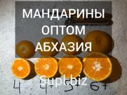 Мандарины оптом Абхазия