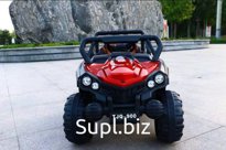 Buggy TJQ900