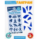 Логическая магнитная головоломка «Танграм. Круг»