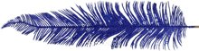 Decorative branch Feather Size: 740x120x3mm