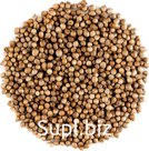 Кориандр целый (Кинза)