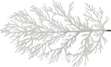Decorative branch "Compliment" Size: 15x0.5x57 cm